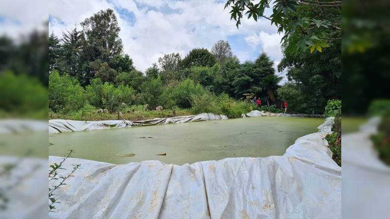 Zitácuaro: niño de 3 años cae a una represa agrícola y se ahoga 