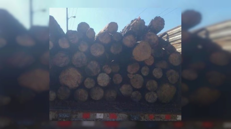 División Ambiental de la SSP asegura 97 rollos de madera de procedencia ilícita