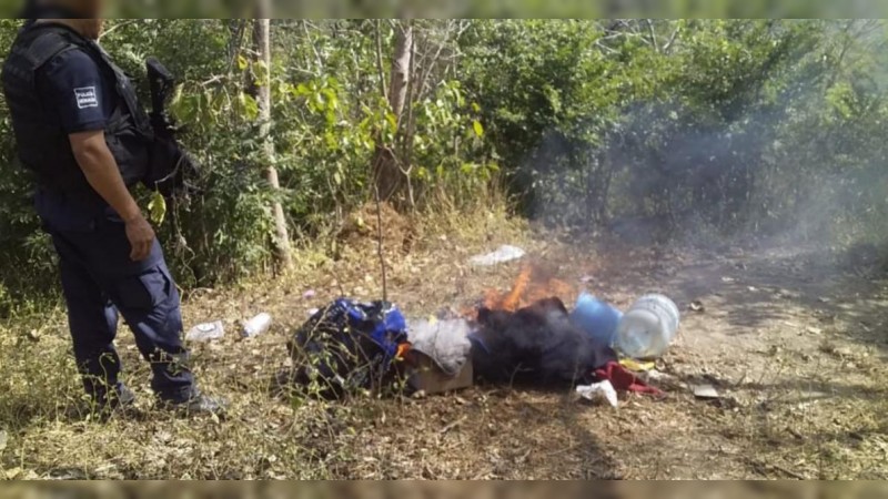 Destruyen campamento y plantío de marihuana en Chinicuila 