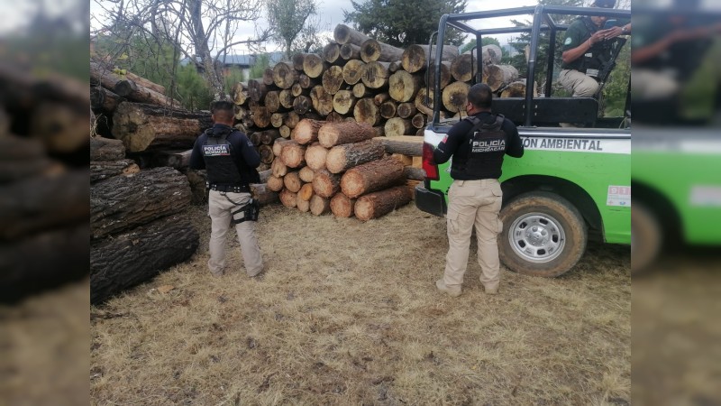 SSP asegura 18 rollos de madera presuntamente ilegal