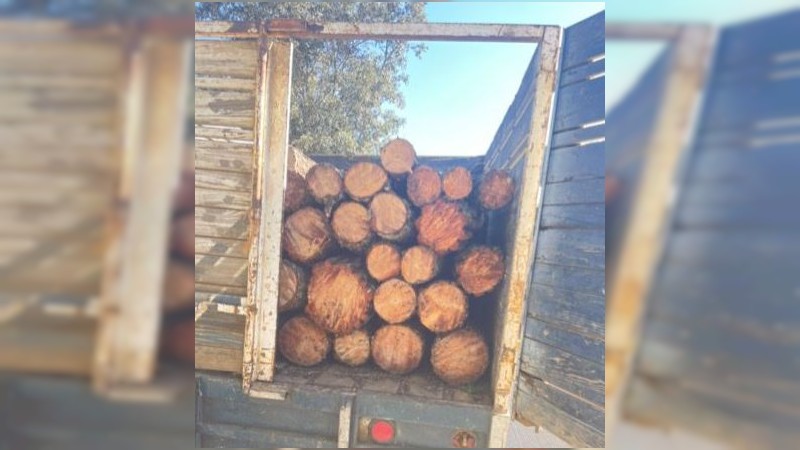 Asegura SSP a dos en posesión de madera sin documentación, en Pátzcuaro