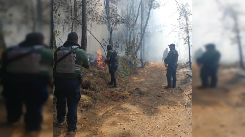 División Ambiental de la SSP atiende incendio forestal en Ocampo