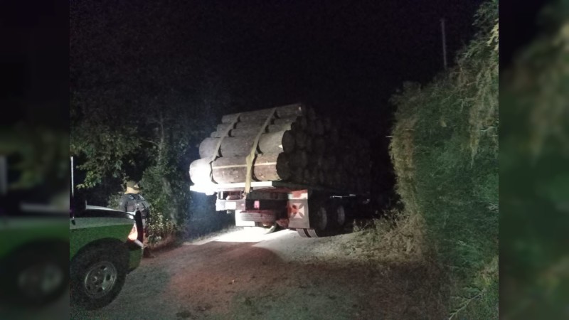Asegura División Ambiental de la SSP camión cargado con madera ilícita