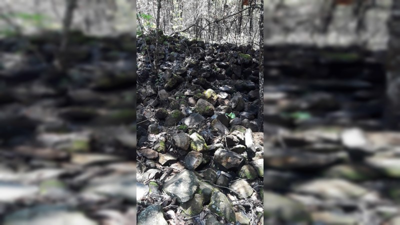 Supuestos aguacateros destruyen zona arqueológica, en Michoacán; FGR investiga 
