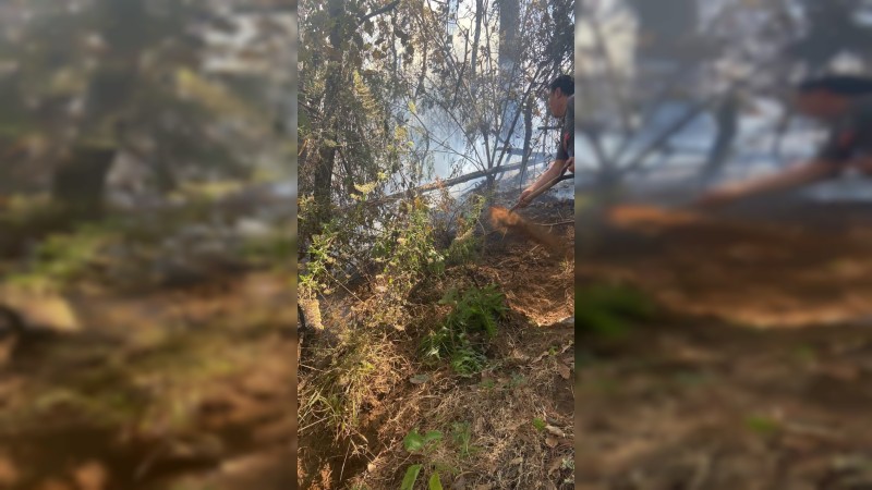 Bomberos trabajan incansablemente para apagar incendio forestal, en Parangaricutiro 