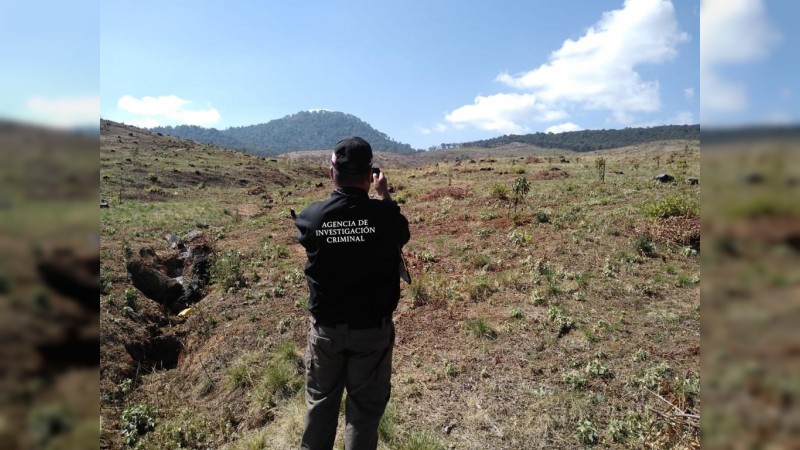 Arrasan con otra zona boscosa, en Michoacán; FGR ya investiga 