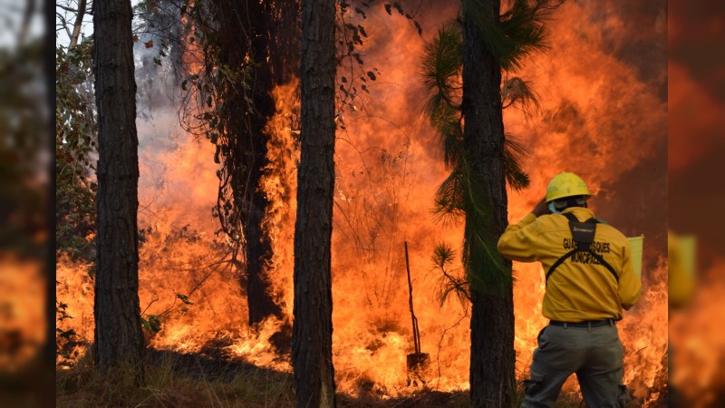 Gobiernos y ciudadanos suman esfuerzos y controlan incendio forestal en Uruapan