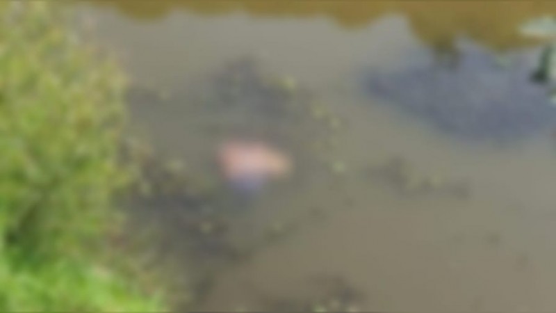 Descubren piernas y brazos humanos flotando en río de Zinapécuaro