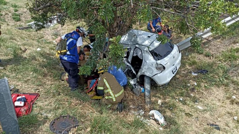 Conductor estrella su auto contra un árbol, en la Morelia-Pátzcuaro  