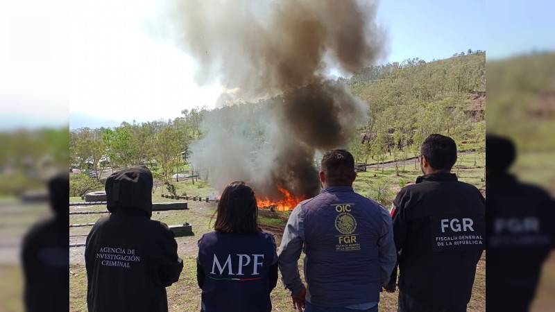 Incineran más de una tonelada y media de drogas, en Michoacán  