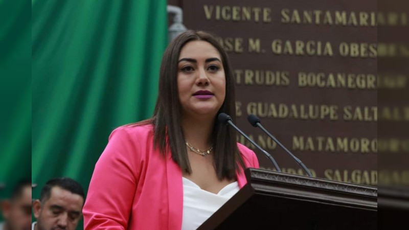Poder Legislativo debe dar ejemplo de orden en finanzas: Mónica Valdez  