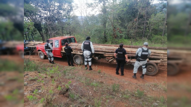 Vehículo cargado con madera presuntamente de tala ilegal, asegurado en Senguio