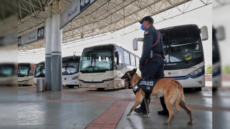 Realizan operativo, en la Terminal de Autobuses de Morelia 