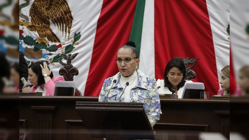 Regular adquisiciones en el Congreso propone Julieta Gallardo