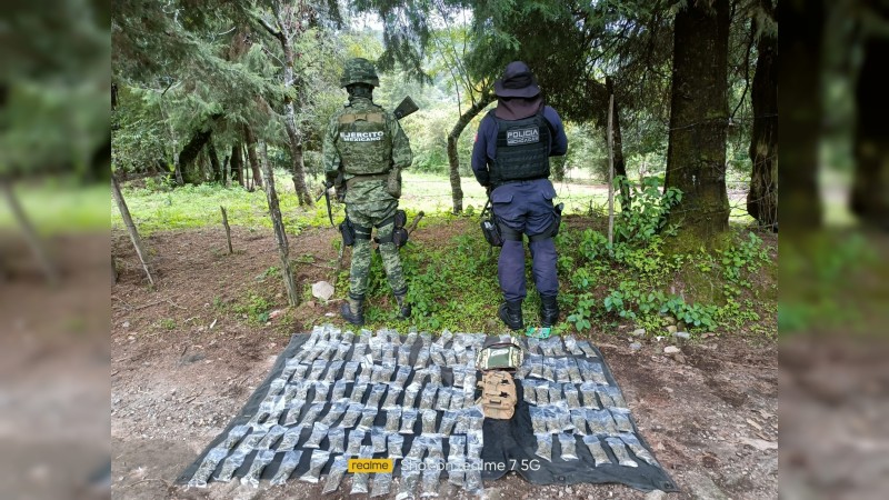 En operativo en Zitácuaro, SSP y Sedena aseguran 123 envoltorios de marihuana