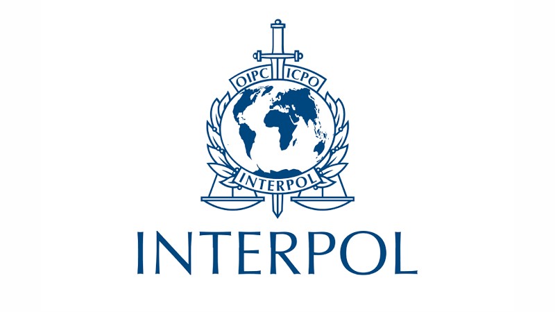 Interpol captura en Michoacán a supuesto asesino de una mujer, en Florida 