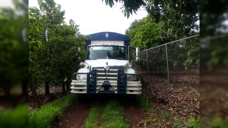 Guardia Civil recupera camión cargado con aguacate, en Nuevo Urecho
