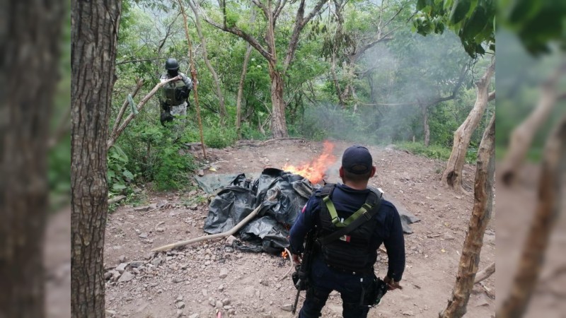 Soldados y policías revientan narcocampamento, en Aguililla 