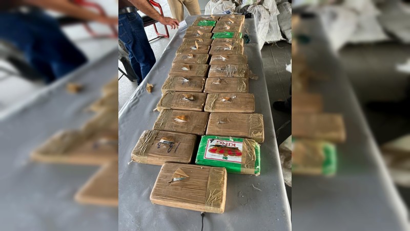 Incineran más de 700 kilos de cocaína, en Michoacán 