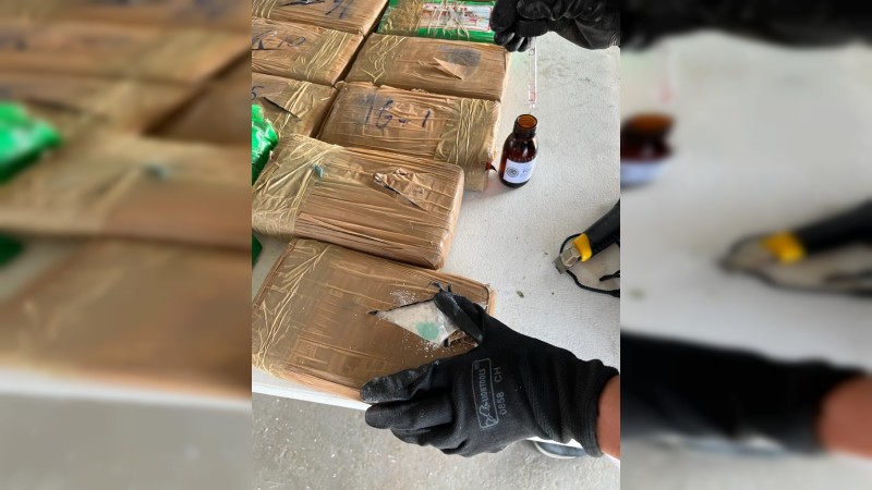 Incineran más de 700 kilos de cocaína, en Michoacán 