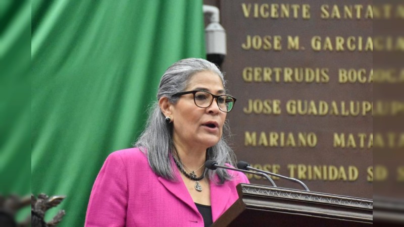Las personas morales deben ser incluidas en  Código Penal: Mayela Salas