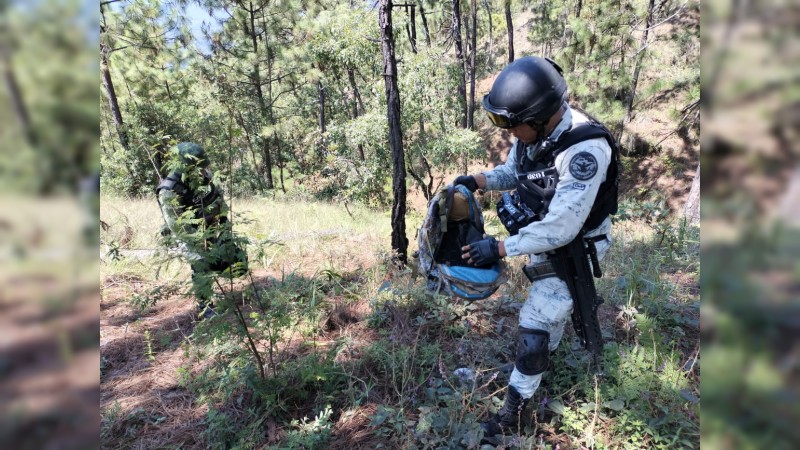 Policías y militares desmantelan 2 narcocampamentos, en Uruapan  