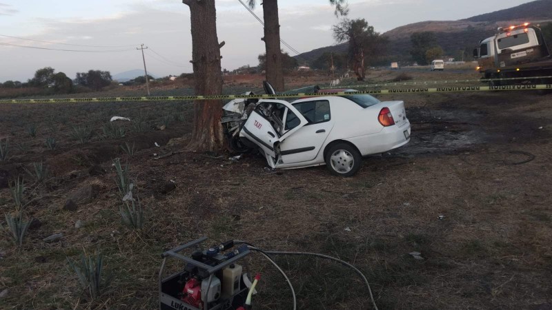 Muere taxista, tras estrellar su auto contra un árbol, en Zamora 