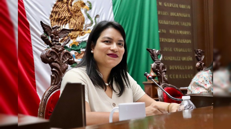 Propone Eréndira Isauro, crear listado de personal de seguridad sancionado
