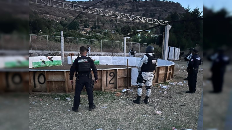 Policías revientan pelea de gallos clandestina, en Panindícuaro 