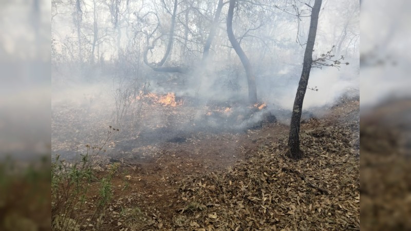 Incendio forestal en Villa Jiménez, controlado con ayuda de helicóptero: Cofom
