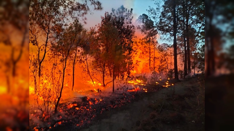 Brigadistas combaten incendio forestal, en Ciudad Hidalgo 