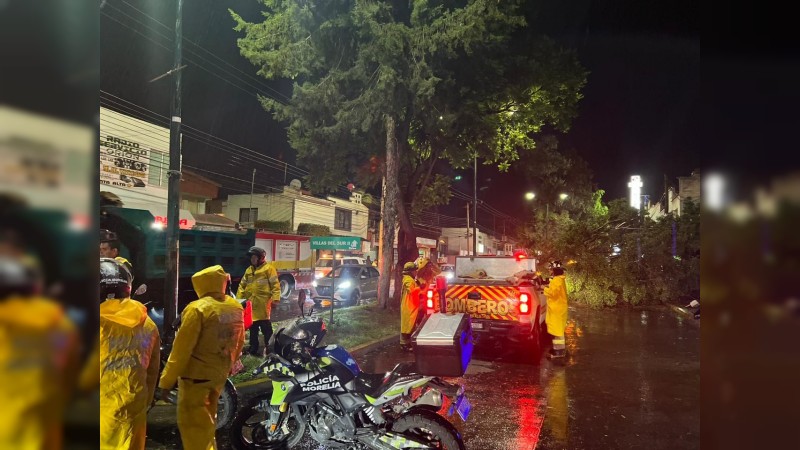 Morelia: 12 árboles se desplomaron tras fuertes lluvias 