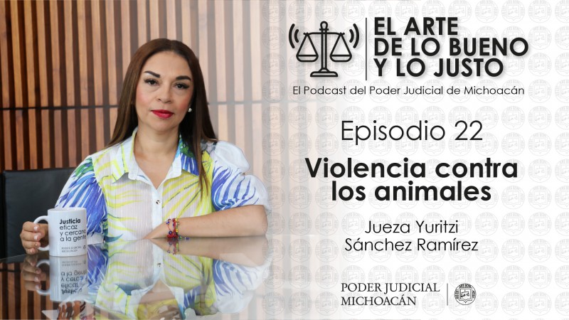 Jueza de oralidad penal habla sobre violencia contra los animales en podcast