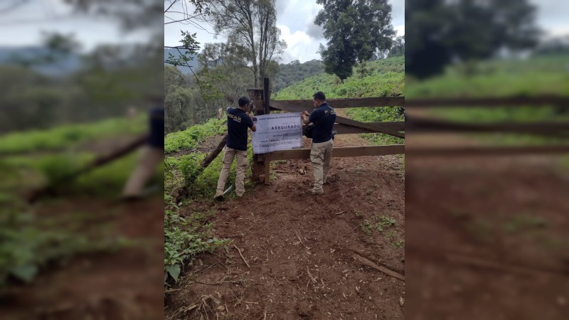 Aseguran predio relacionado en tala ilegal y cambio de uso de suelo en Pátzcuaro