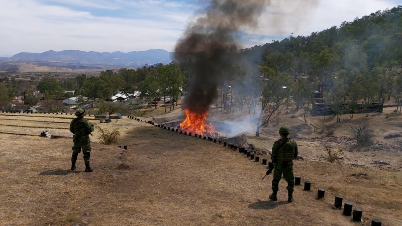 Incineran drogas aseguradas, en Michoacán 