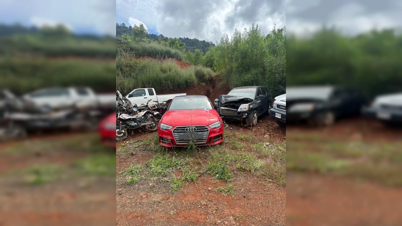 En cateo realizado en Ario, recuperan 10 autos robados 