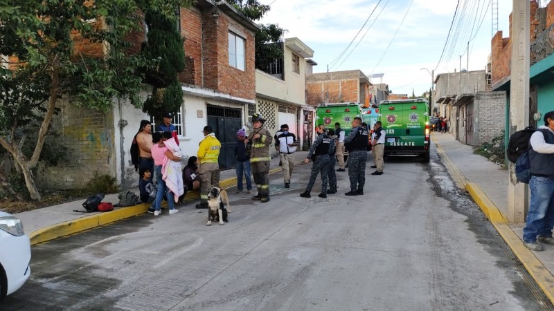 Ataque de abejas deja 8 heridos, en Morelia 