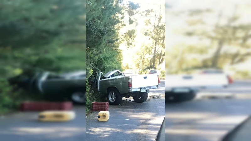 Muere conductor tras caerle a su camioneta un pino encima, en Tancítaro 