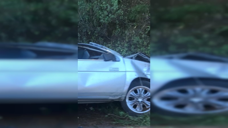 Pino se desploma y aplasta auto, en Tancítaro  