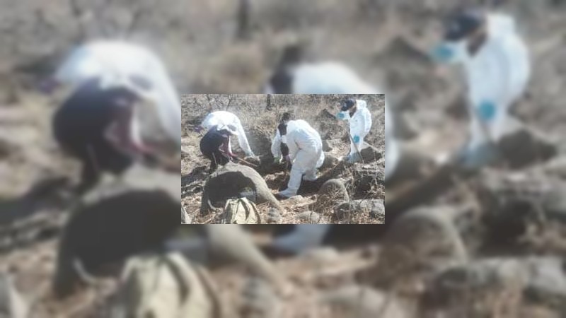 Jacona: suman 11 cadáveres hallados en fosas, por buscadoras 