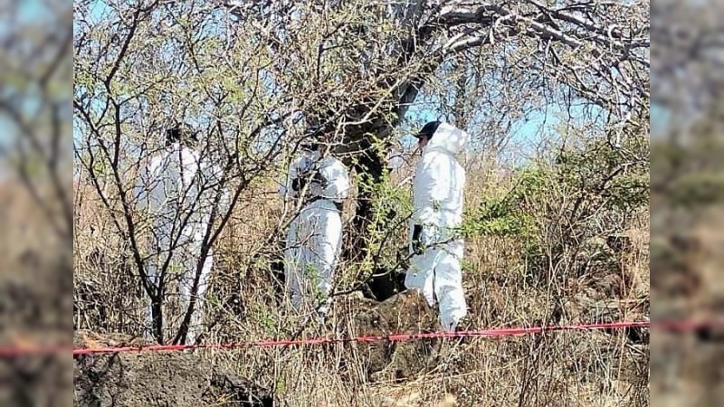 Jacona: suman ya 15 cadáveres hallados, en fosas clandestinas 