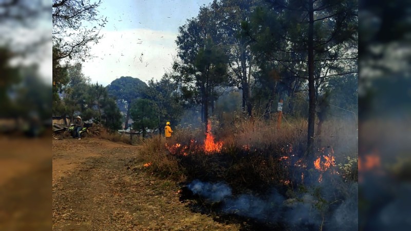 Investigan incendio provocado en zona protegida El Zapien, en Uruapan