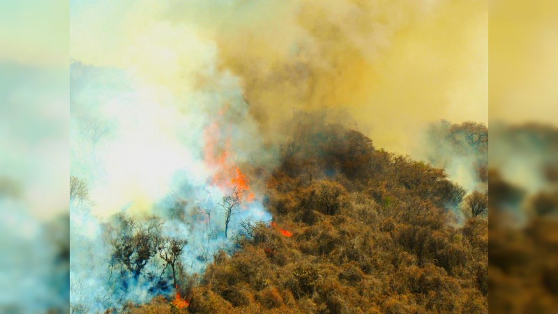 Inician sobrevuelo de dron para atender incendio en el cerro del Quinceo