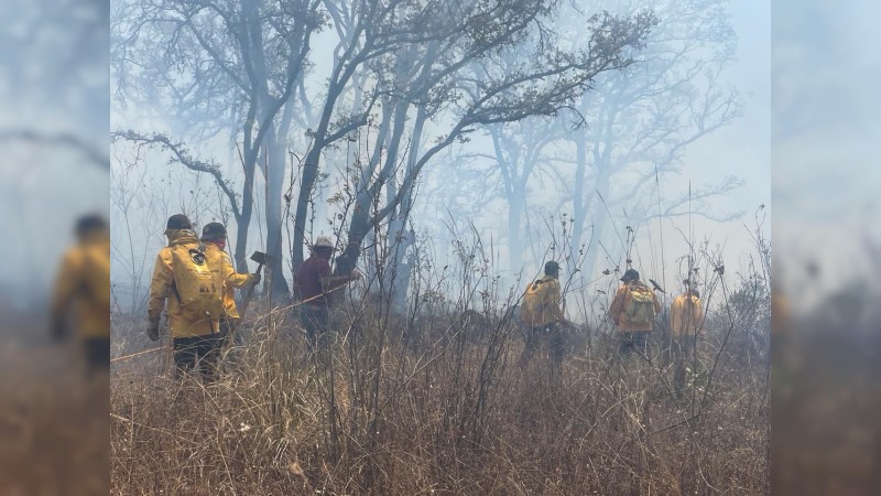 Con más de mil 200 brigadistas, atendidos 251 incendios forestales