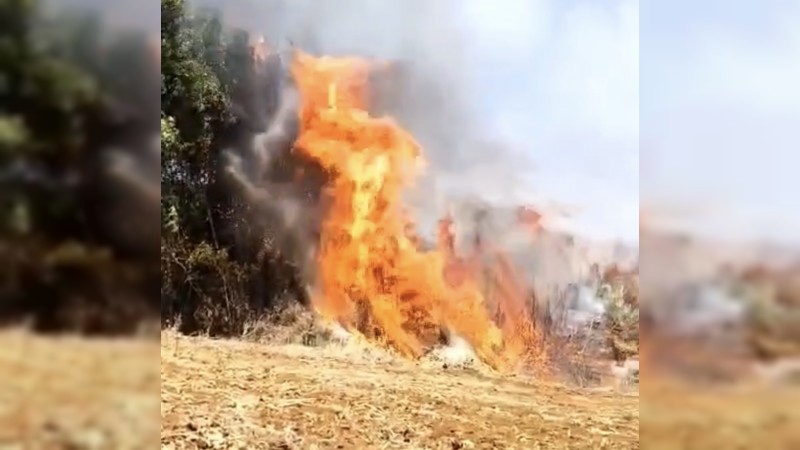 Incendio amenaza con alcanzar corralón, en Tacámbaro 