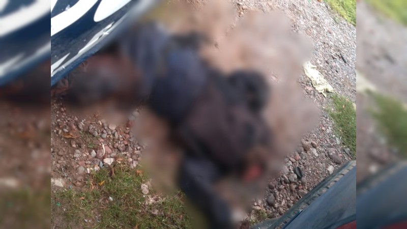 Reportan 3 policías muertos, tras enfrentamiento en Aguililla  