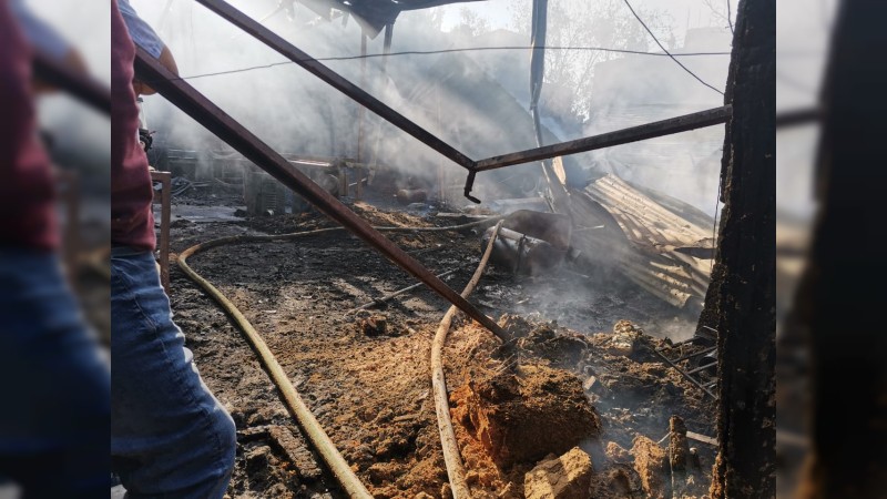 Fuego consume carpintería, al Norte de Morelia  