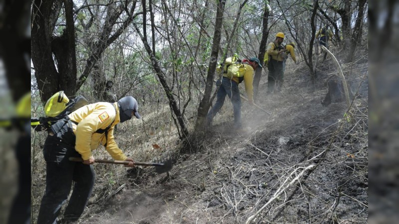 Controlan incendios forestales en Tuxpan