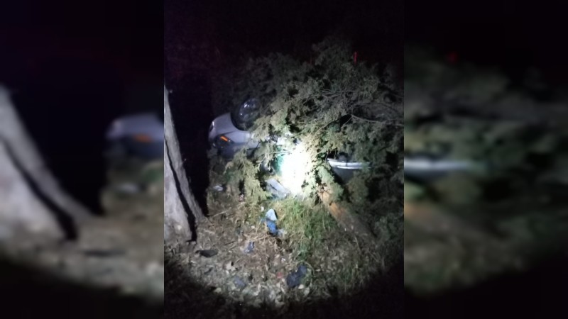 Mueren 2 al chocar contra un árbol, en Ciudad Hidalgo