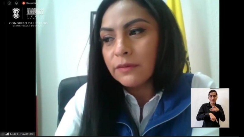 Considerar violencia laboral el despido injustificado de mujeres, propone Araceli Saucedo